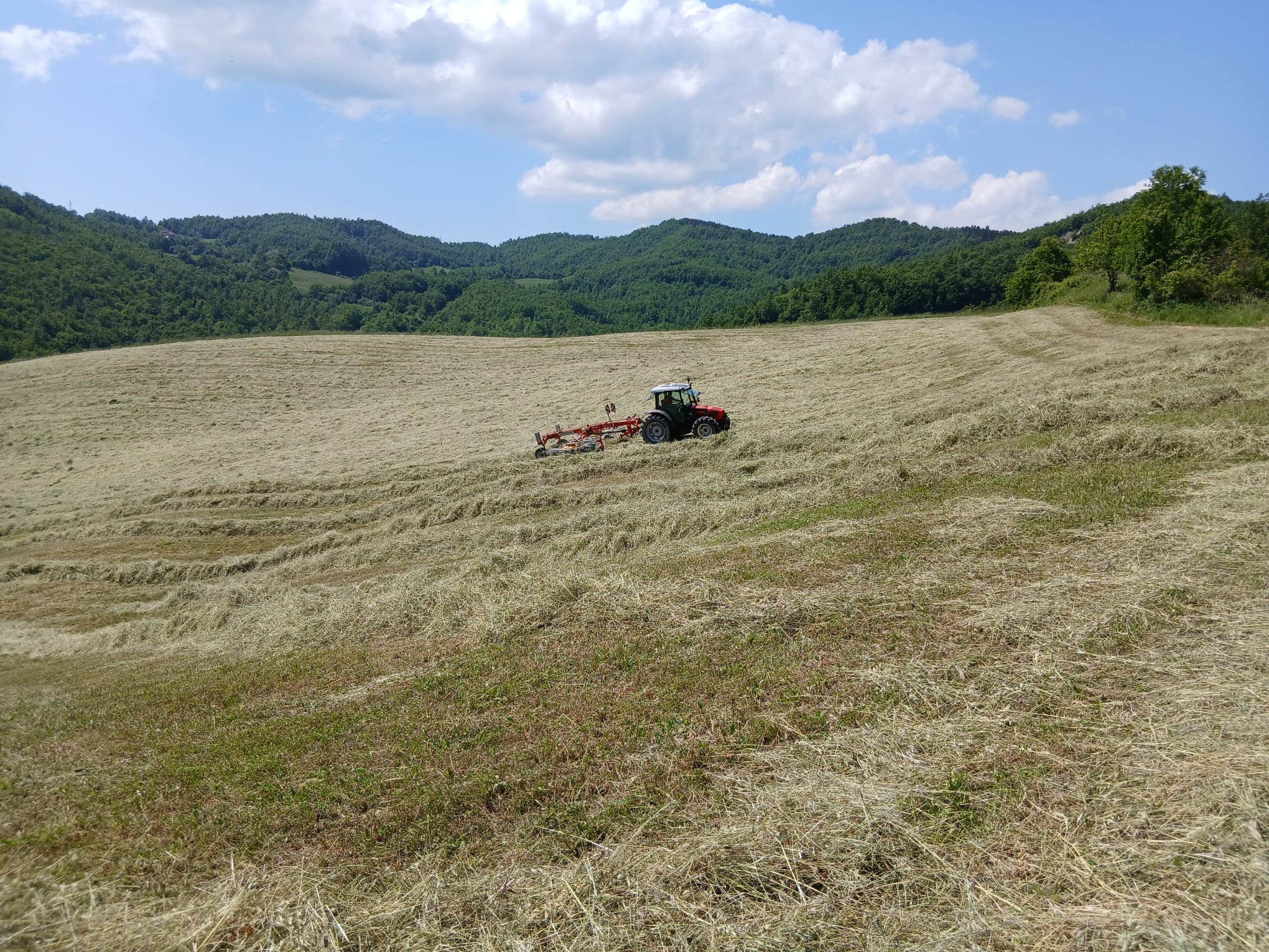 Azienda Agricola San Giuseppe - Camugnano (BO)
