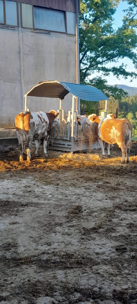 Azienda Agricola San Giuseppe - Camugnano (BO)